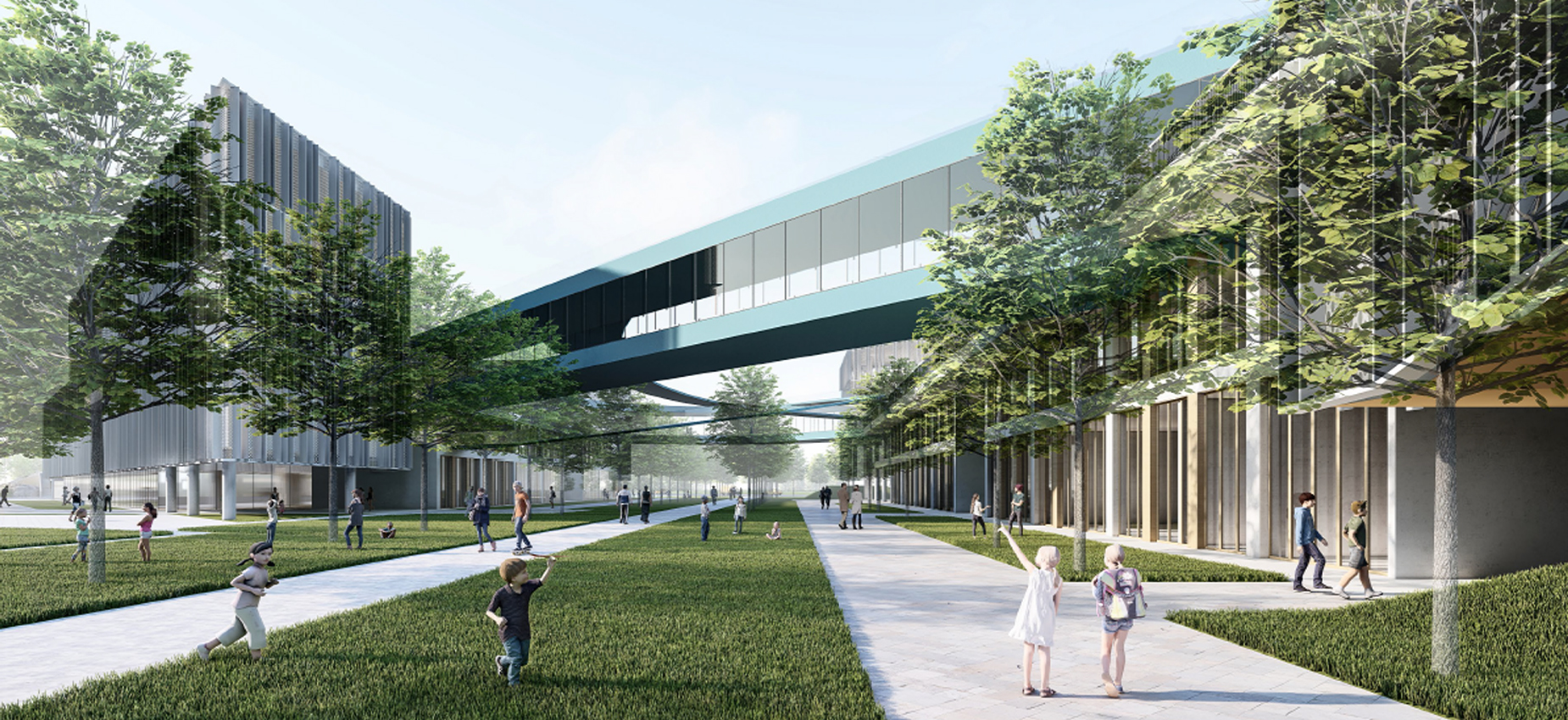 南京南部新城中小学