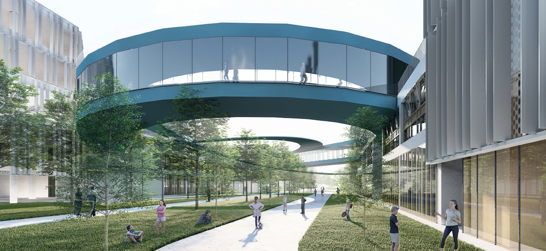 南京南部新城中小学